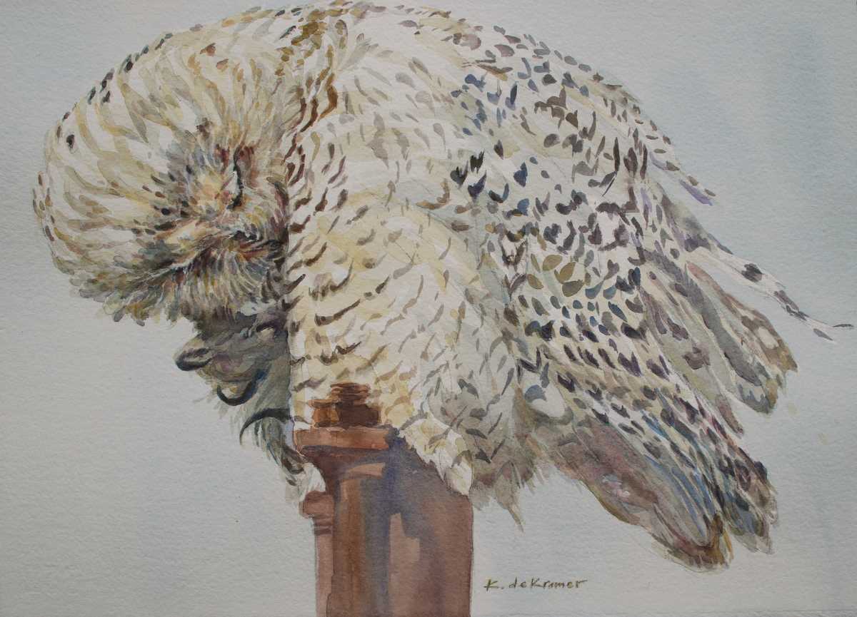 Snowy Itch - Snowy Owl by Karyn deKramer, Image 3.