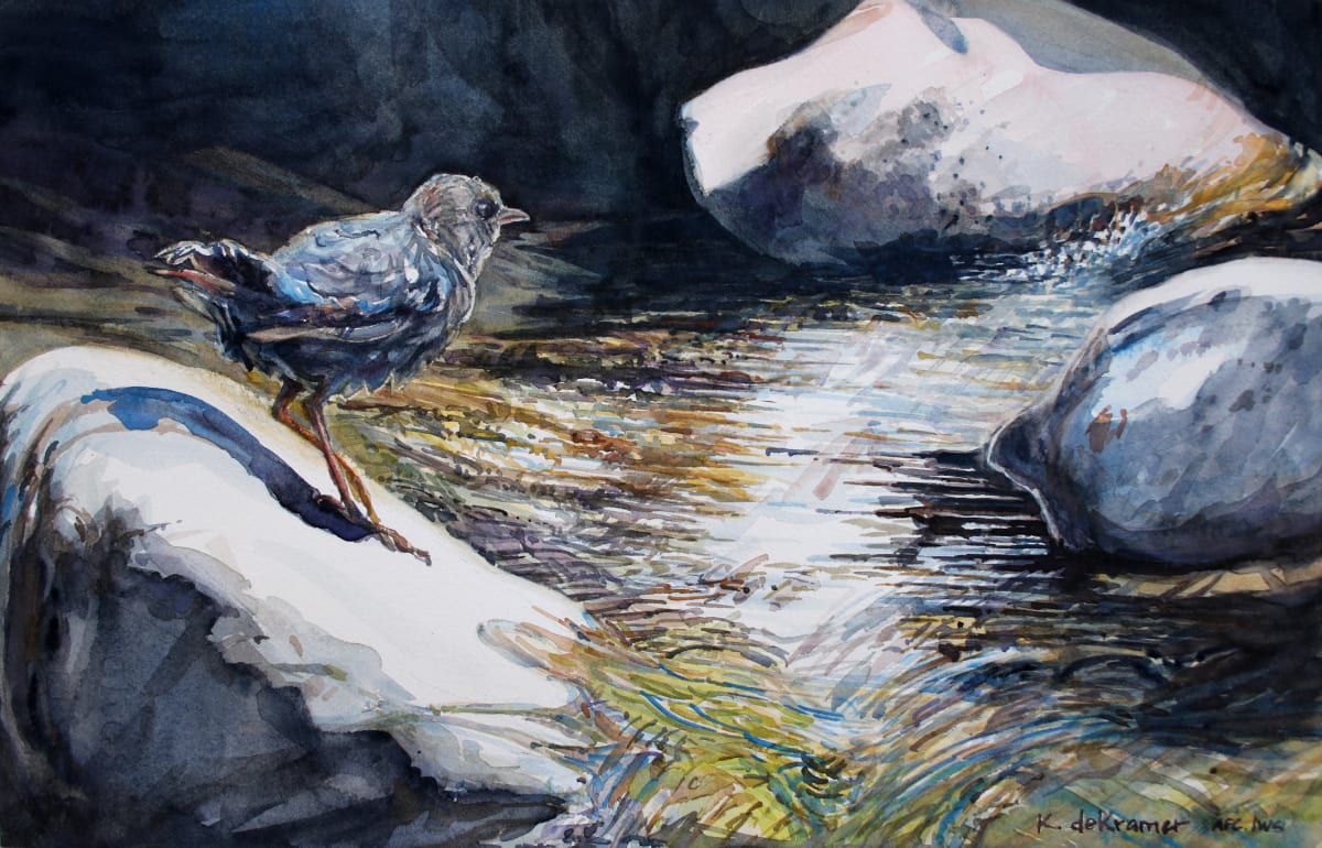 American Dipper by Karyn deKramer  Image: American Dipper 