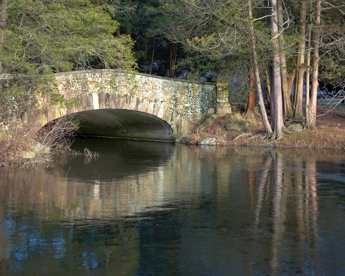 Bridge Reflections by Kris Fallon 