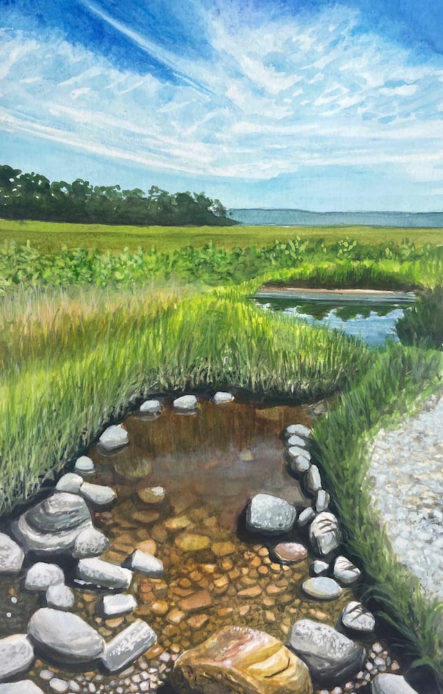 Through The Marshes by Jessica Fallis 