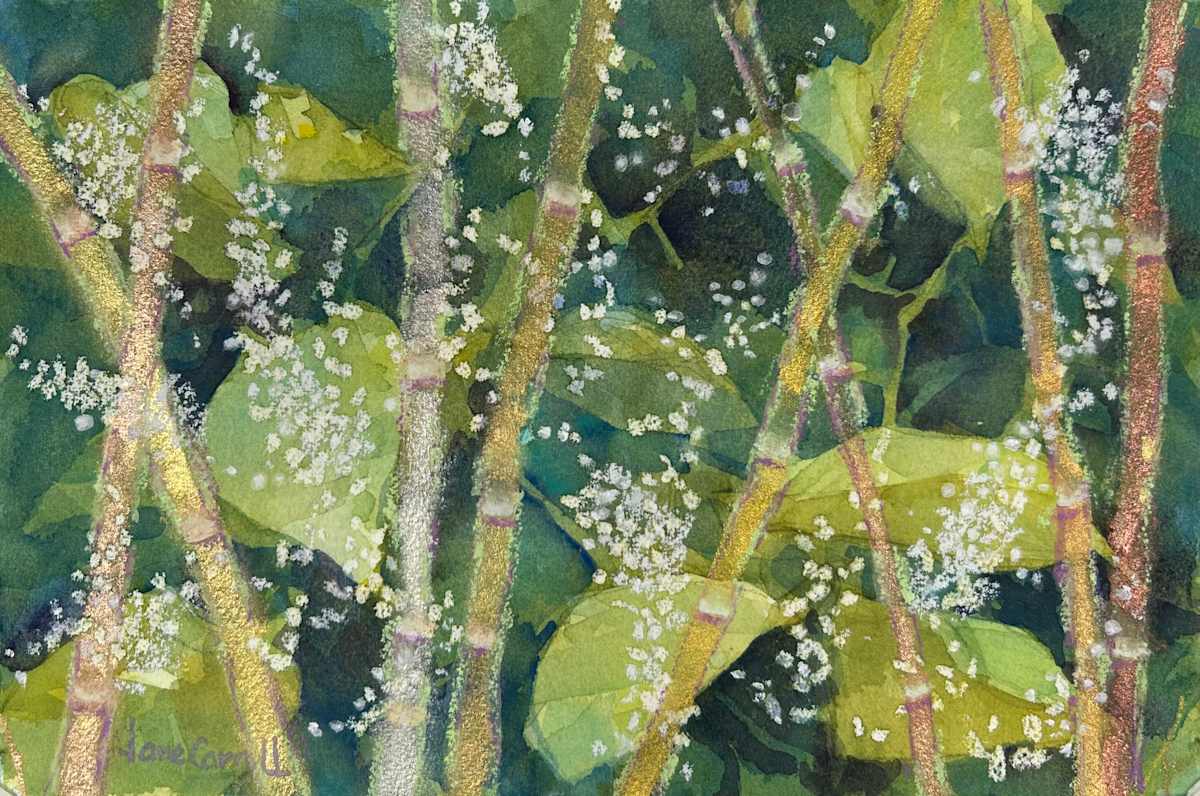 Unwelcome Summer Visitor IV- Japanese Knotweed by Jane Carroll 