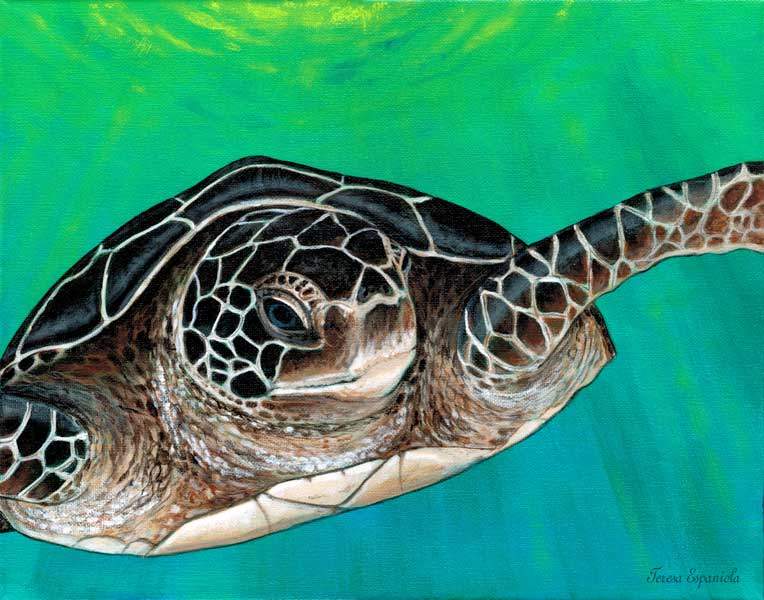 Turtle Talk by Teresa Espaniola, Image 1.