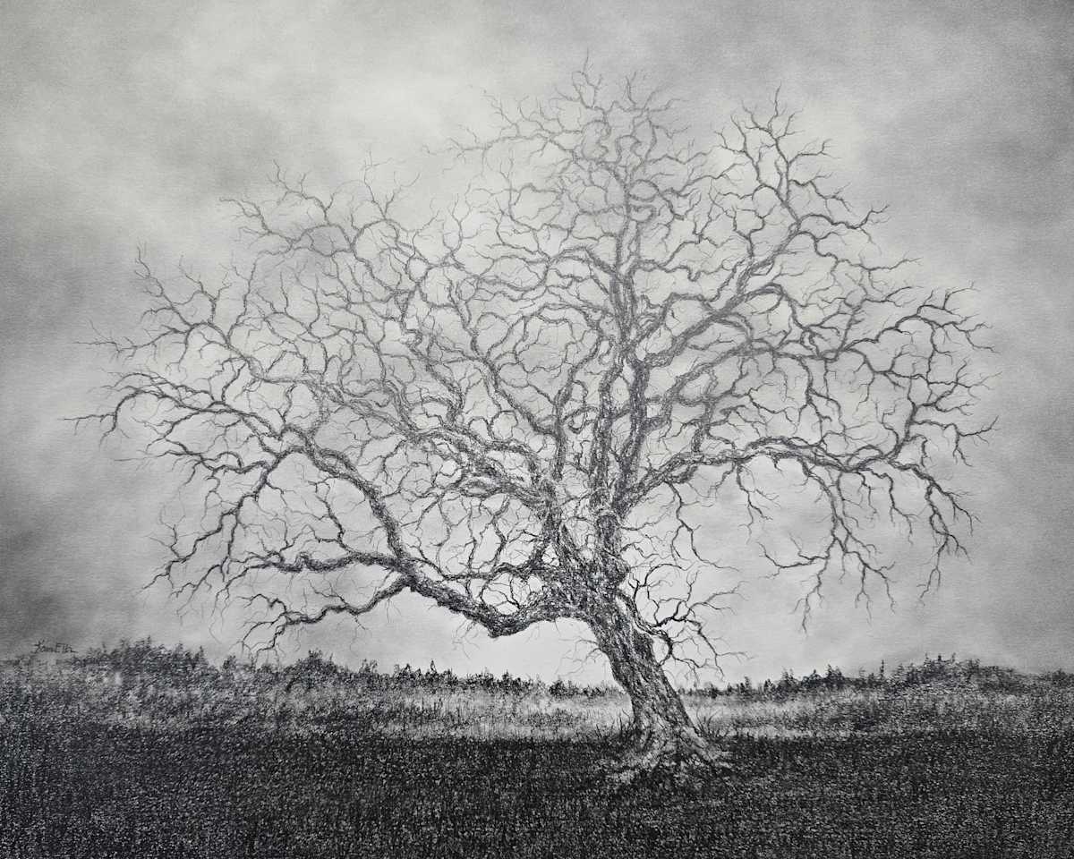 Windswept by Karen Franqui Elkan 