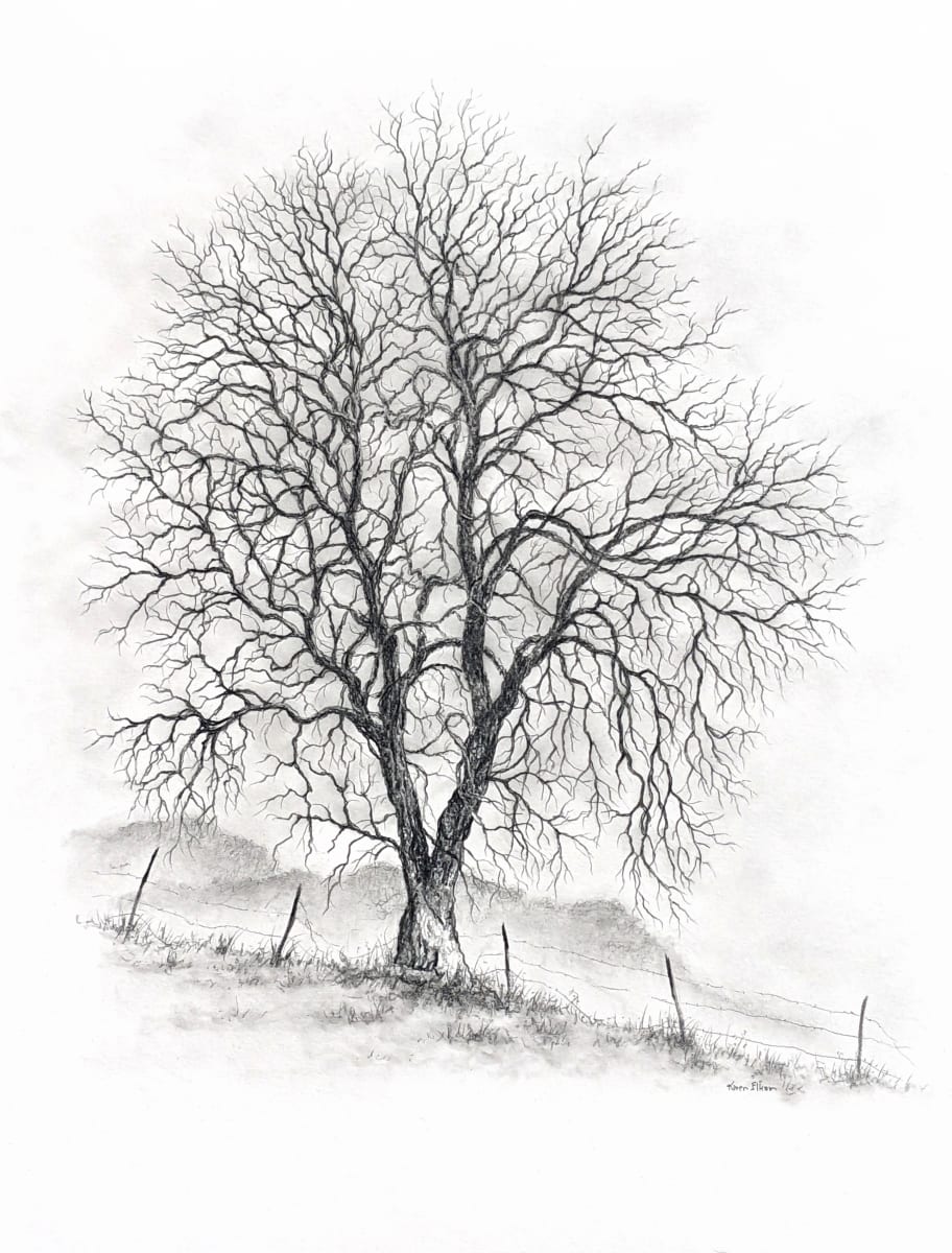 Solitary Tree by Karen Franqui Elkan  Image: Prints only. 