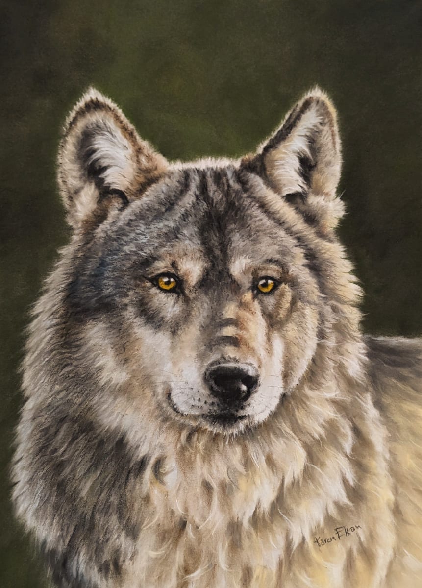 Focused by Karen Franqui Elkan  Image: Prints only. 