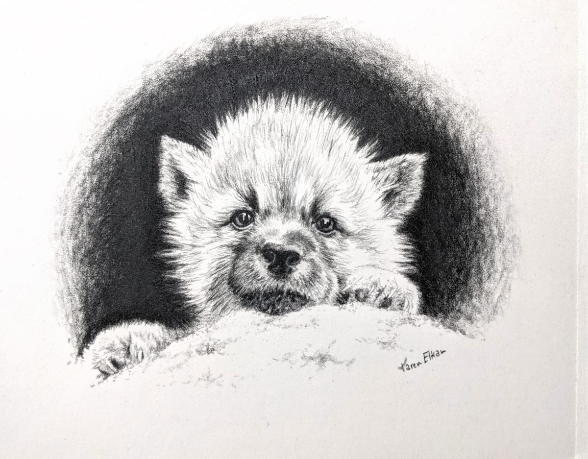 Wolf Pup by Karen Franqui Elkan 