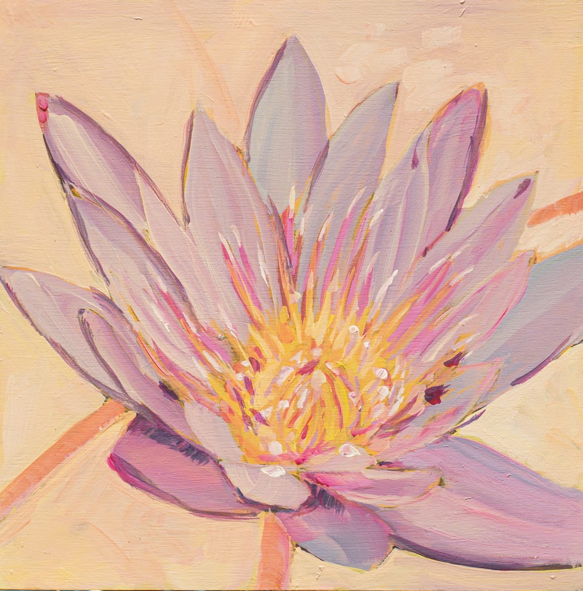 African Lotus by Kate Joiner 