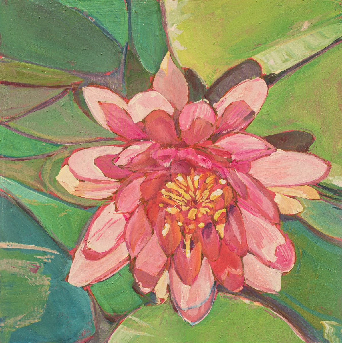 Pink Lotus by Kate Joiner 