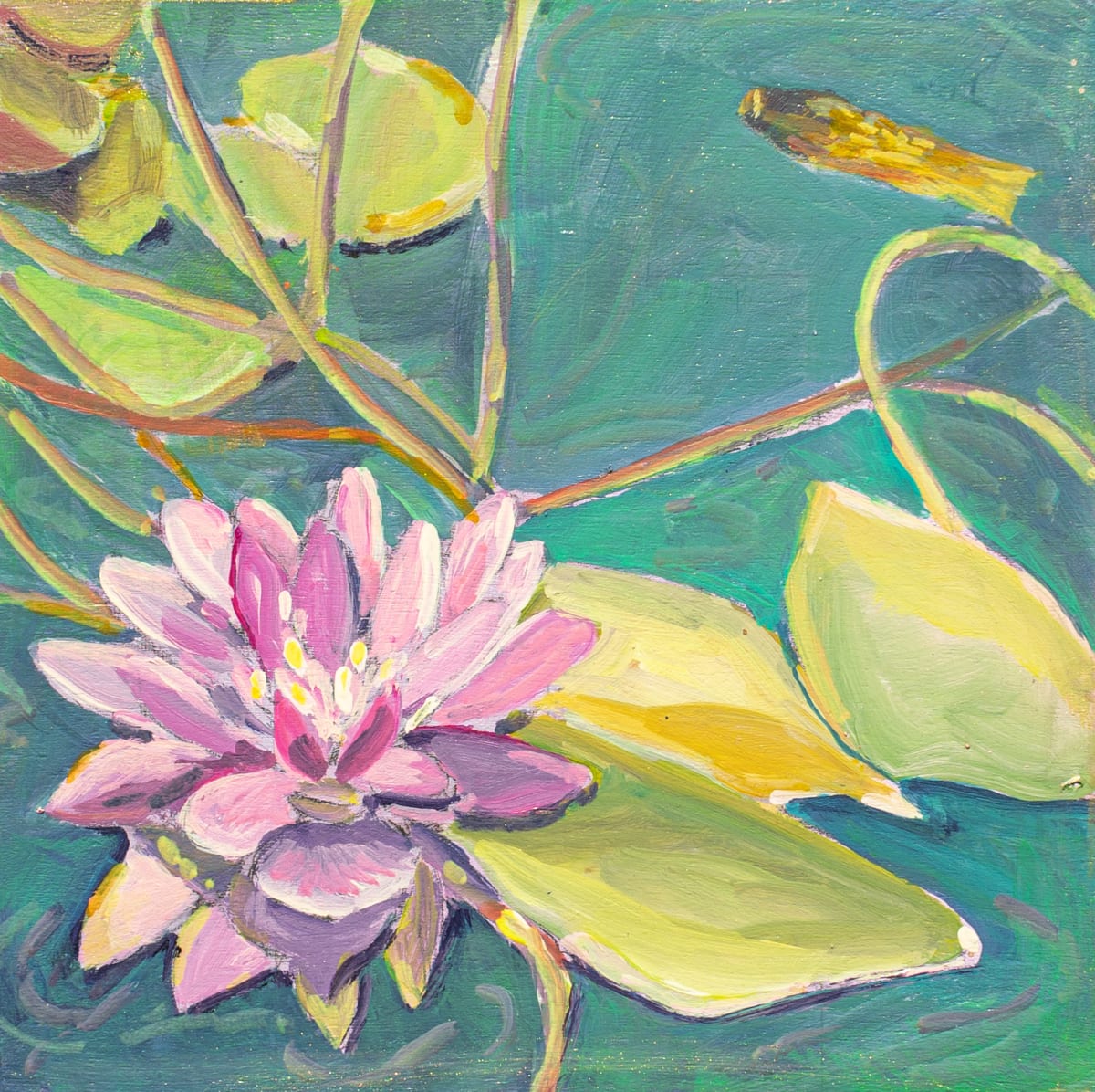 Pink Lotus # 3 by Kate Joiner 