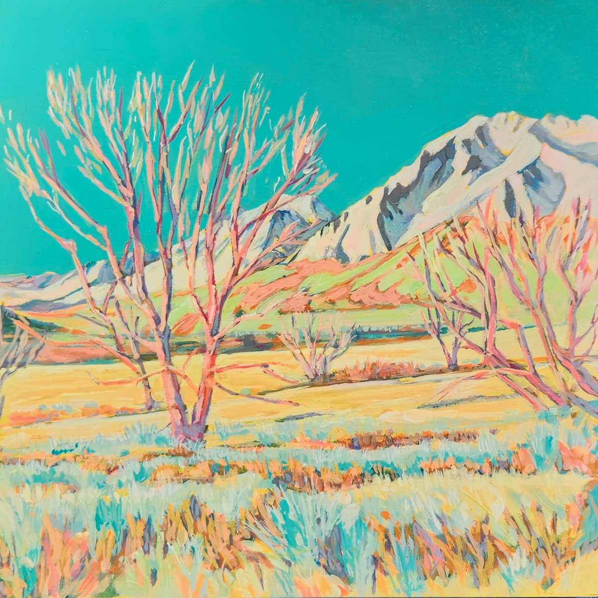 Sierra Nevadas by Kate Joiner 