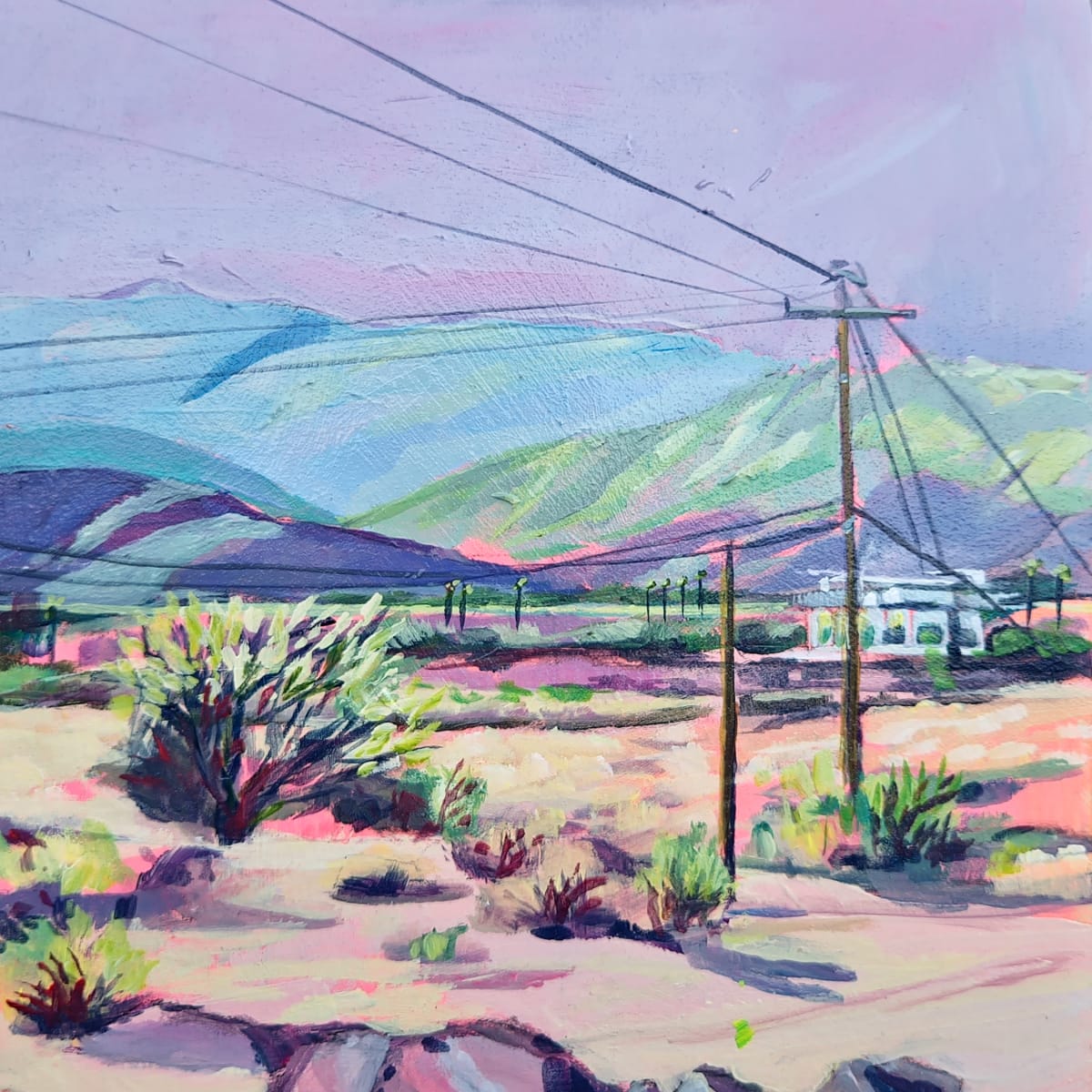 Palm Desert View - duplicate by Kate Joiner 