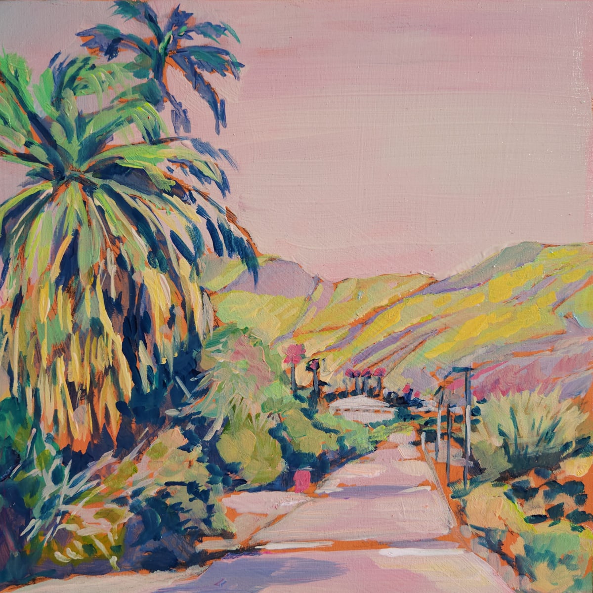 Painted Canyon, Palm Desert ps 1 by Kate Joiner 