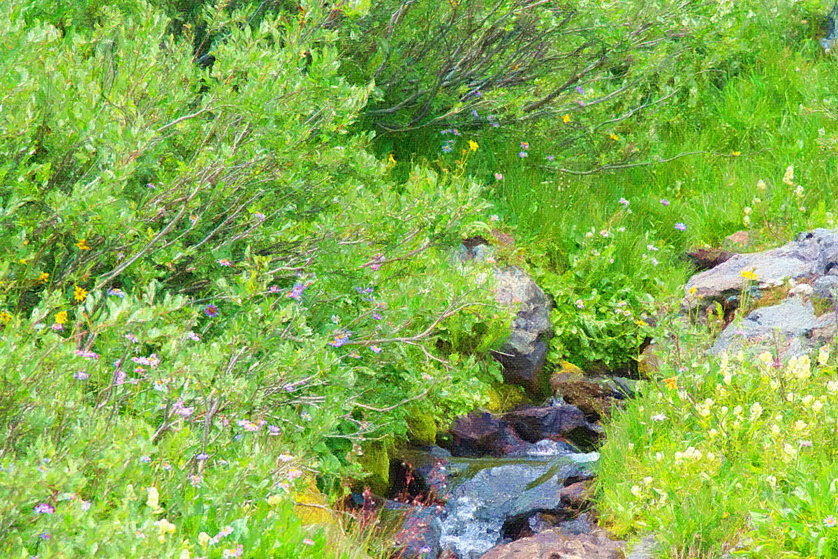 Creek Amongst the Foilage 