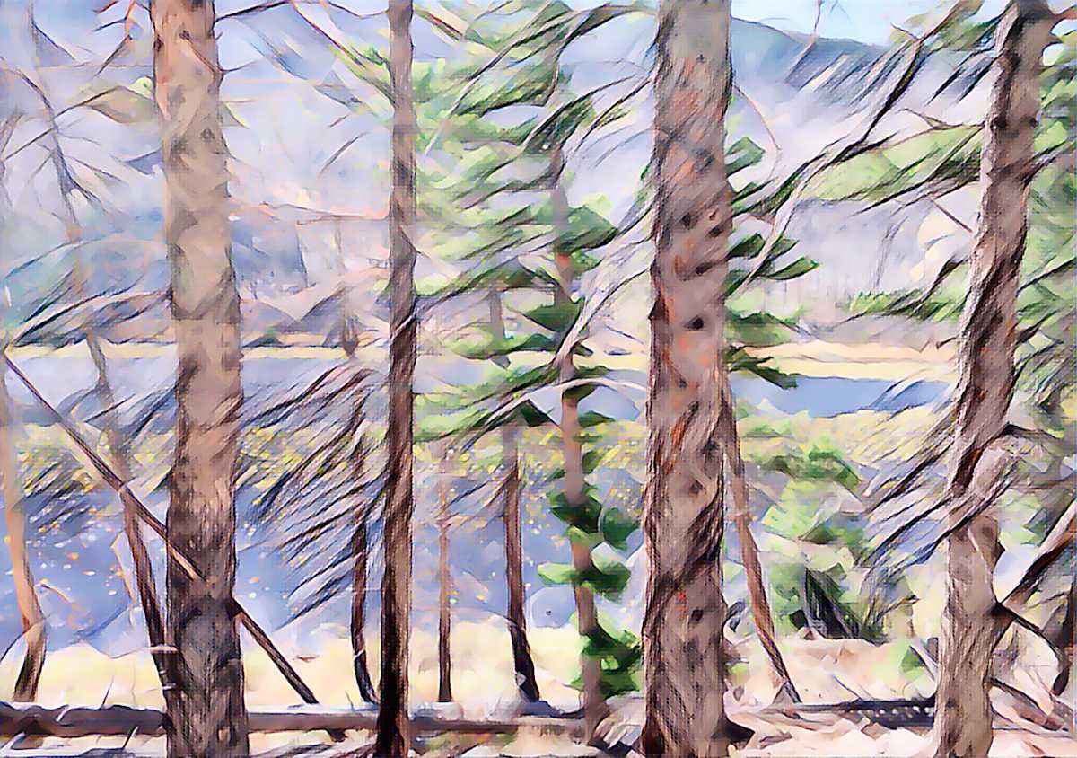Cub Lake, through the trees by Lewis Jackson, Image 1.