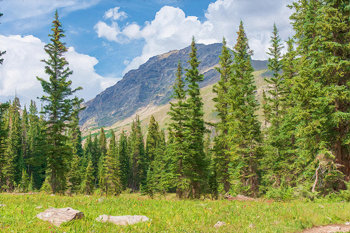 Diamond Lake Trail,  Mid-summer Landscape, Image 1.