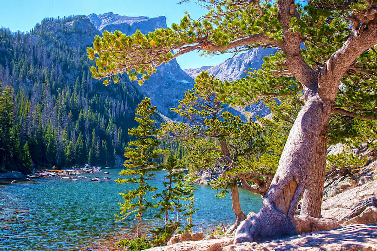Dream Lake, with Tree by Lewis Jackson, Image 1.