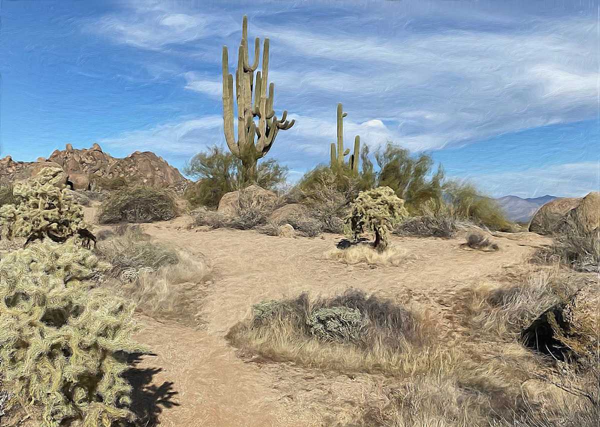 Dynamite Foothills Landscape by Lewis Jackson 