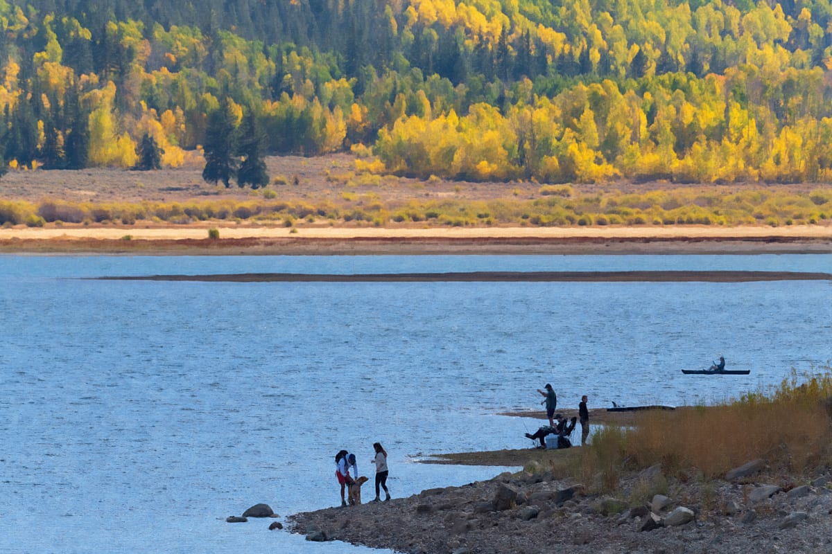 Saturday Afternoon in Fall by Lewis Jackson 