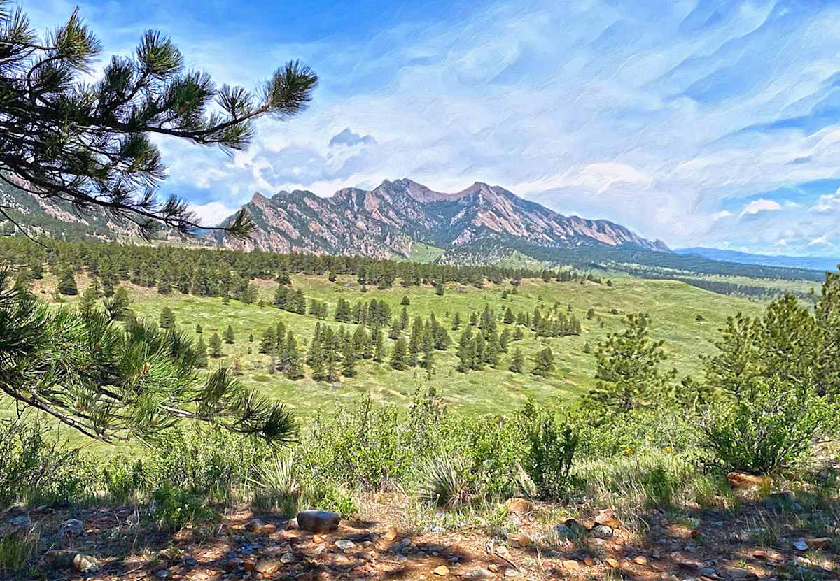 Spring Day! by Lewis Jackson 