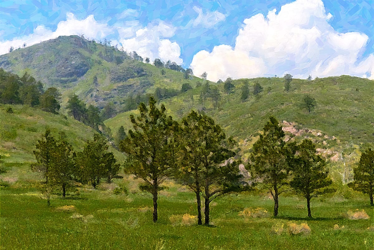 Foothills Landscape (abstract) 