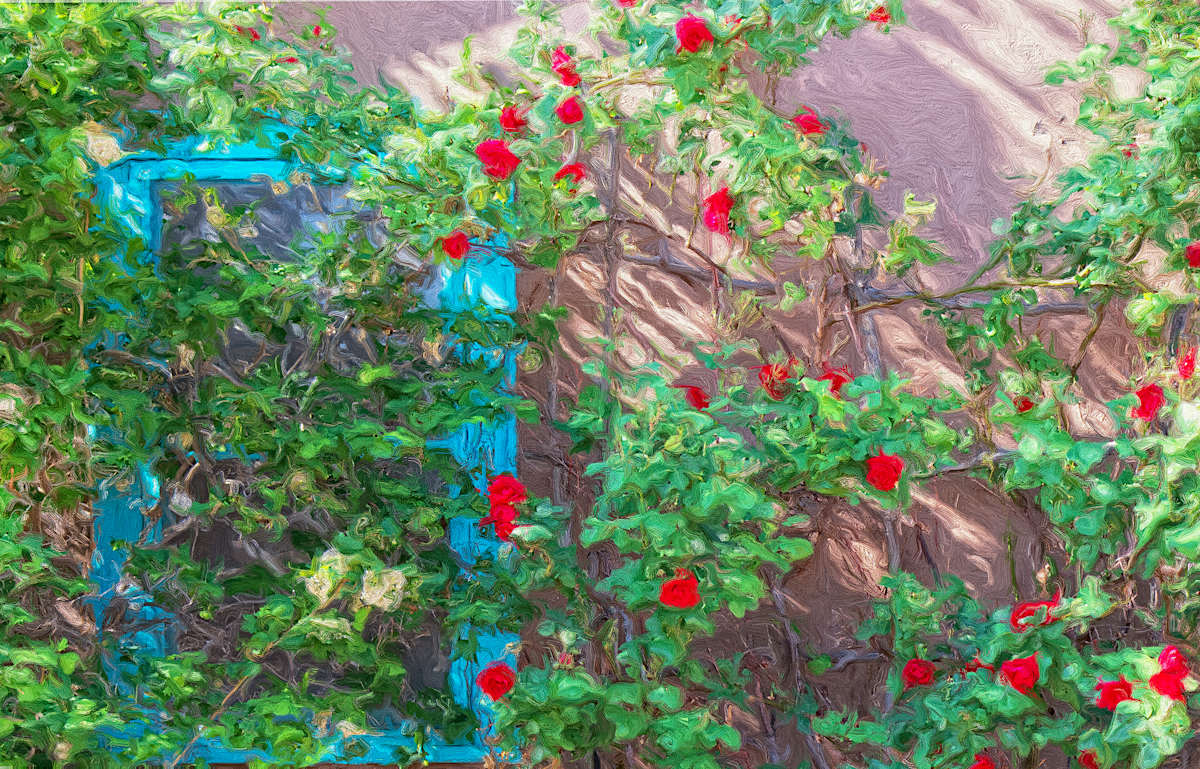 Blue Window Frame with Roses by Lewis Jackson 