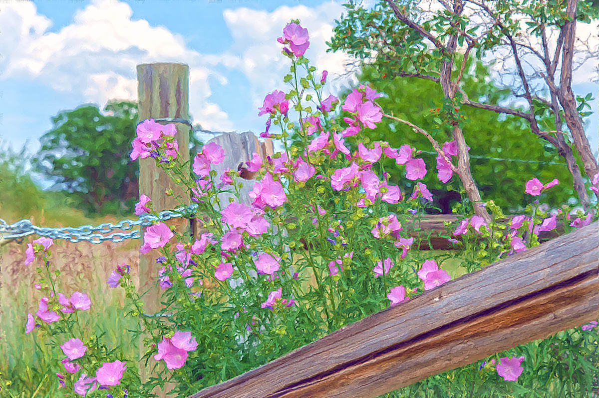 Gateway with Prickly Rose 