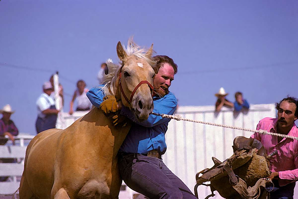 Grab that Horse! by Lewis Jackson 