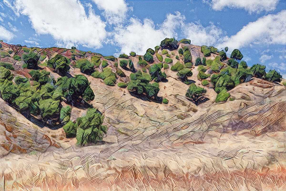 Hillside, Southern California by Lewis Jackson  Image: Photo completed September, 2024, several months before the Franklin and Palisades fires. It was re-mastered in its current form in 2025.