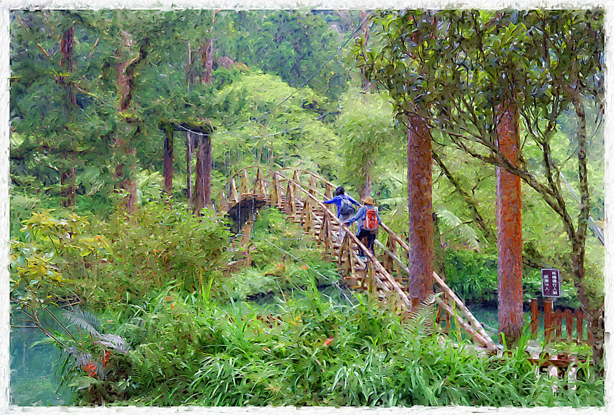 In a Chinese Garden 