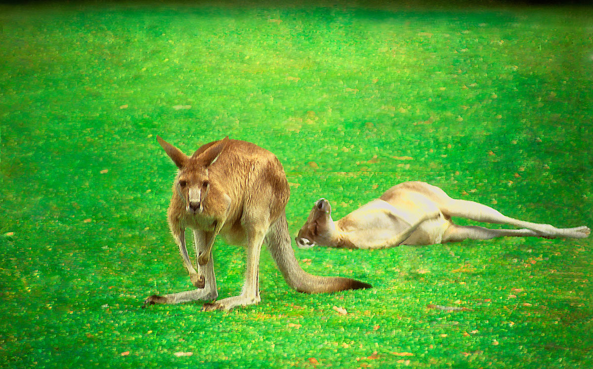 Possession, Image 1.