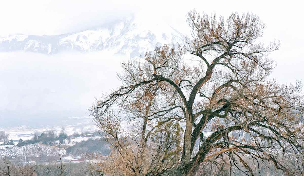 Landscape Near Paonia, with Tree by Lewis Jackson 