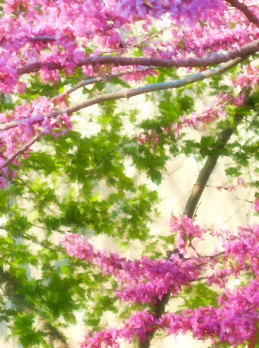Springtime! by Lewis Jackson 