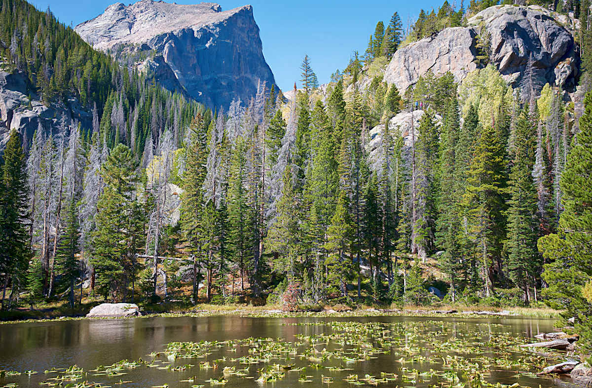 Nymph Lake by Lewis Jackson 