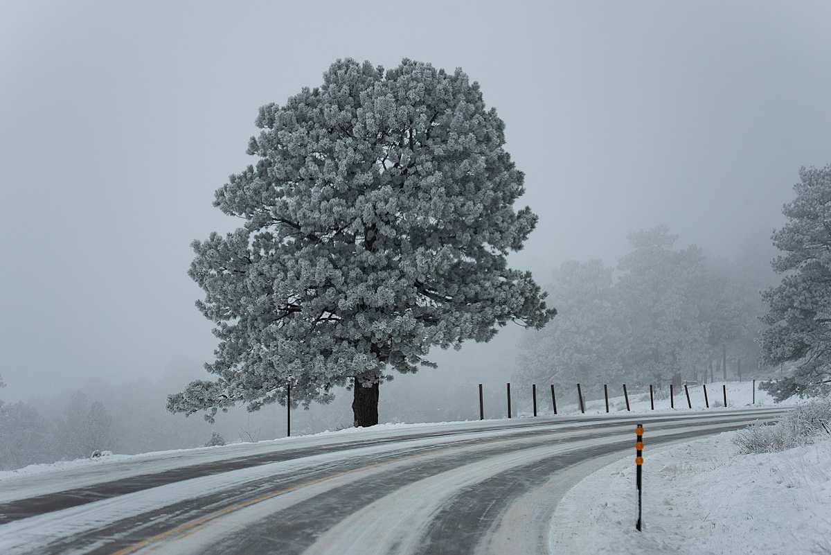 Precarious Mountain Drive by Lewis Jackson, Image 1.
