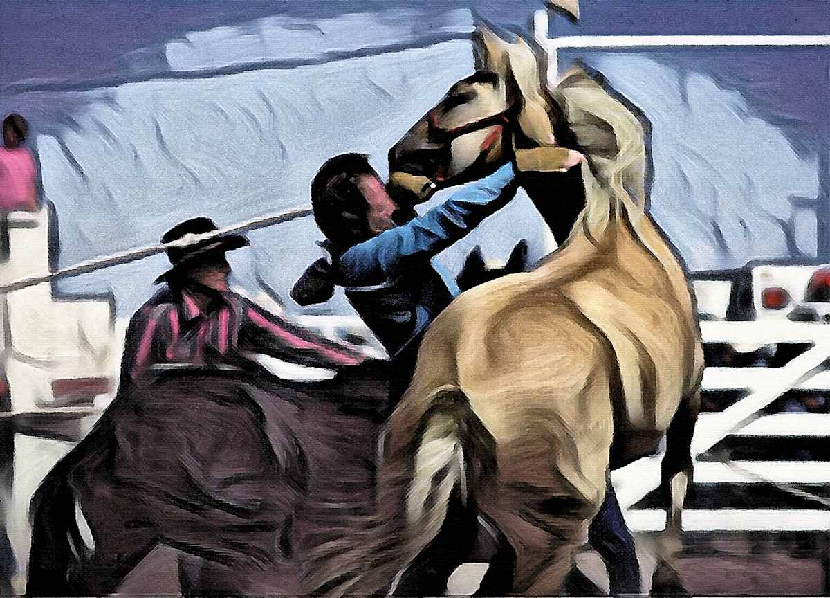 Raging Pony by Lewis Jackson  Image: "Raging Pony"
Edited Photo, enhanced, with Expressionist Rendering