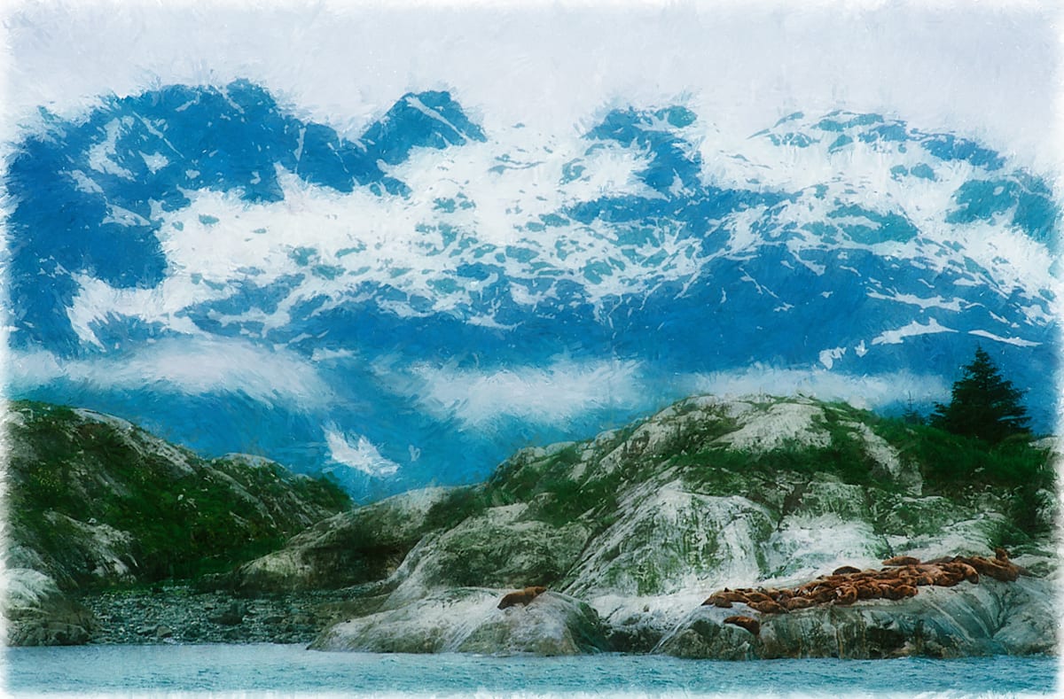 Alaskan Seals by Lewis Jackson 