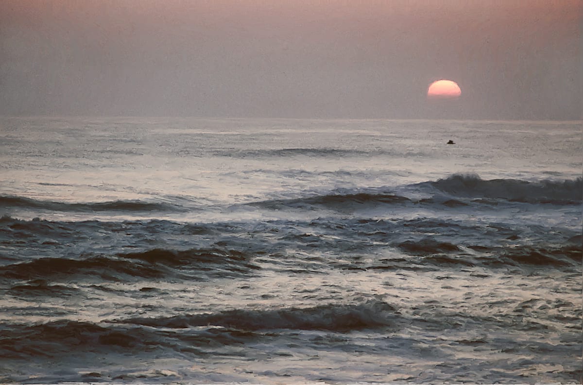 Solitary Bird by Lewis Jackson 