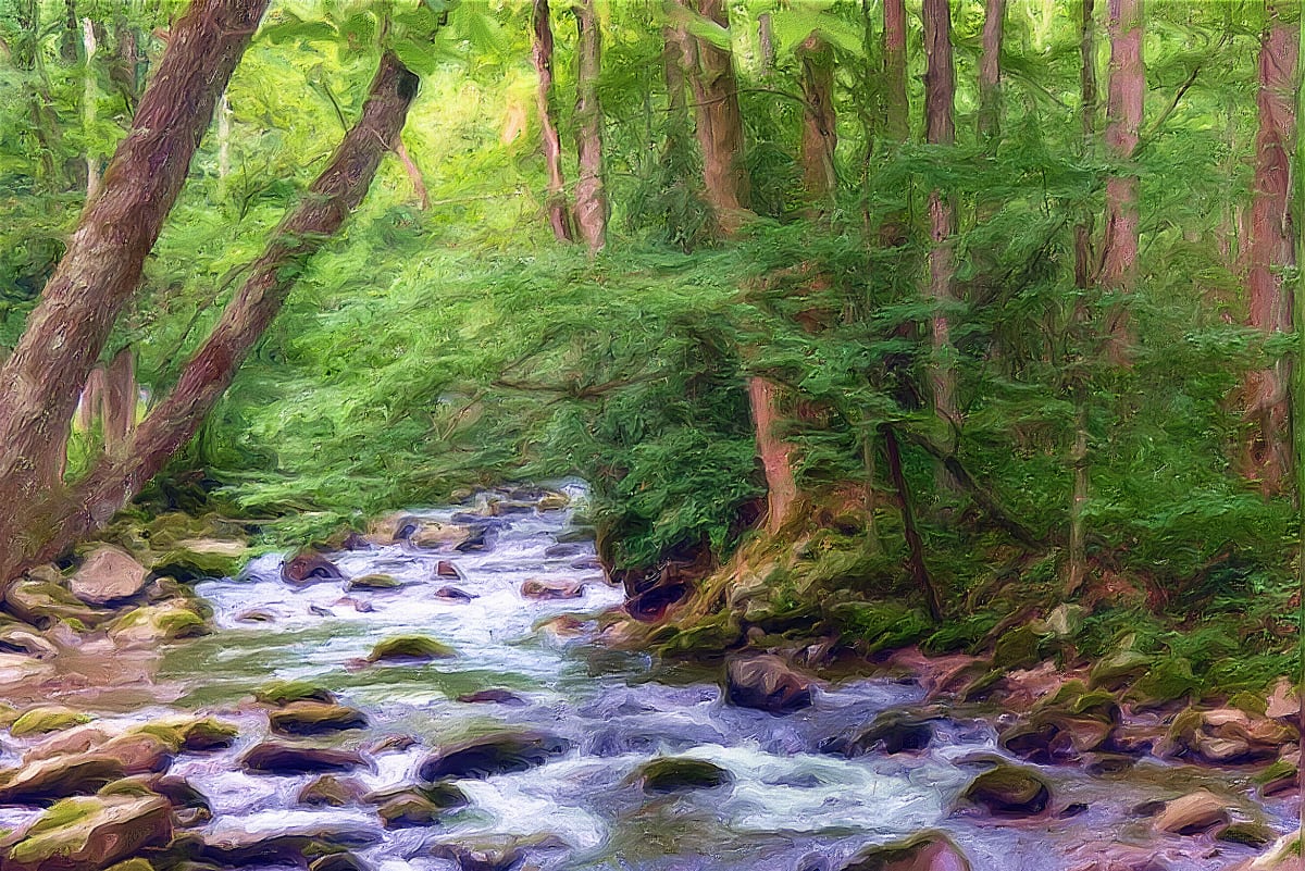 Tranquility, Image 1.