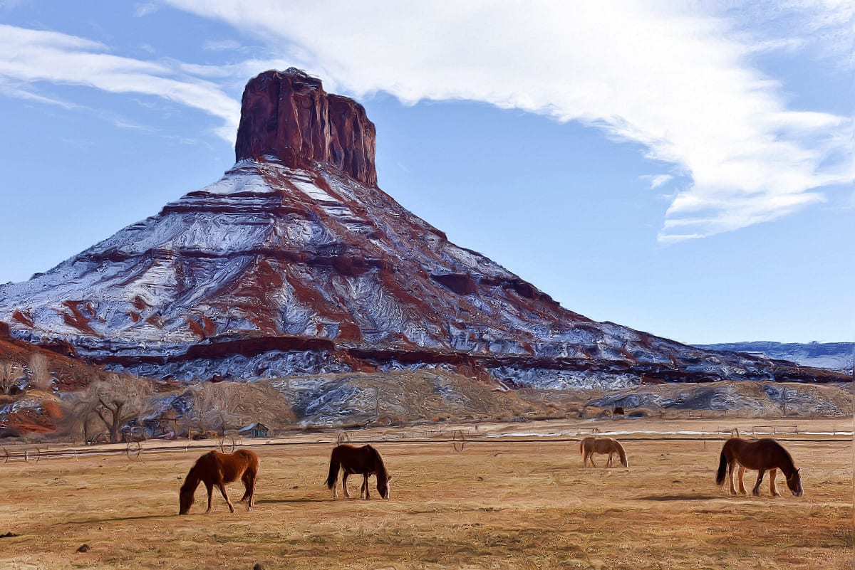 Horses Grazing, Image 1.