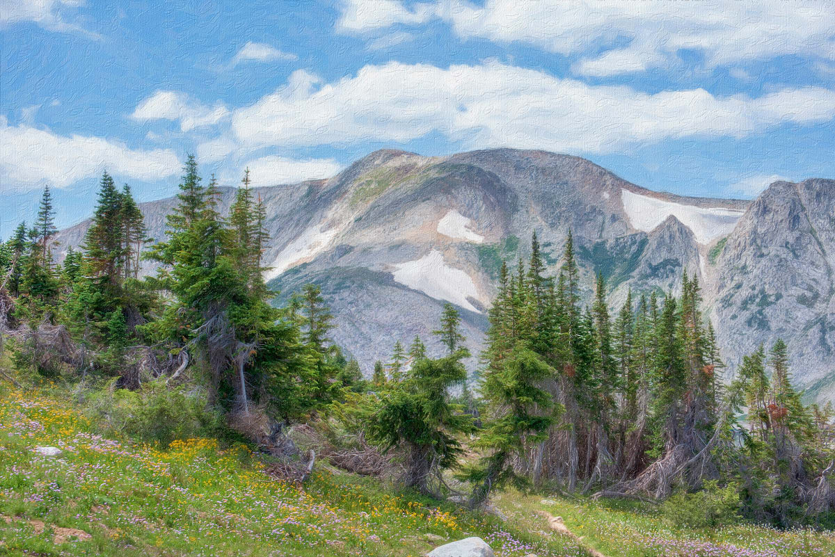 Wyoming Landscape, Early Summer, Image 1.