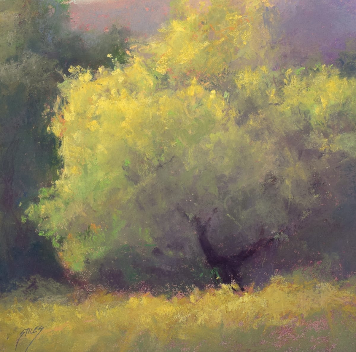 Spring Show Off by Sabrina Stiles, Image 1.