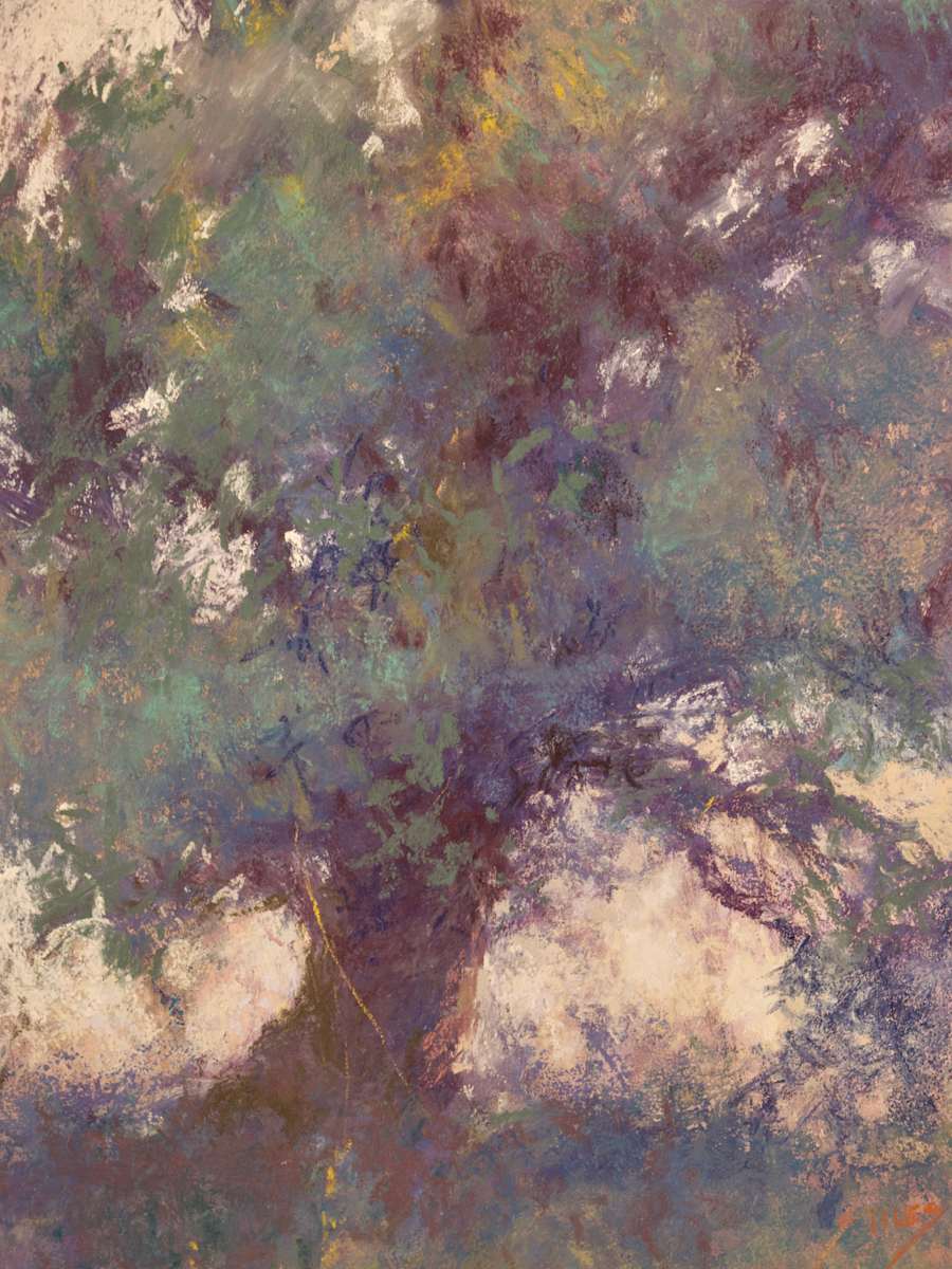 Once Upon A Tree by Sabrina Stiles 