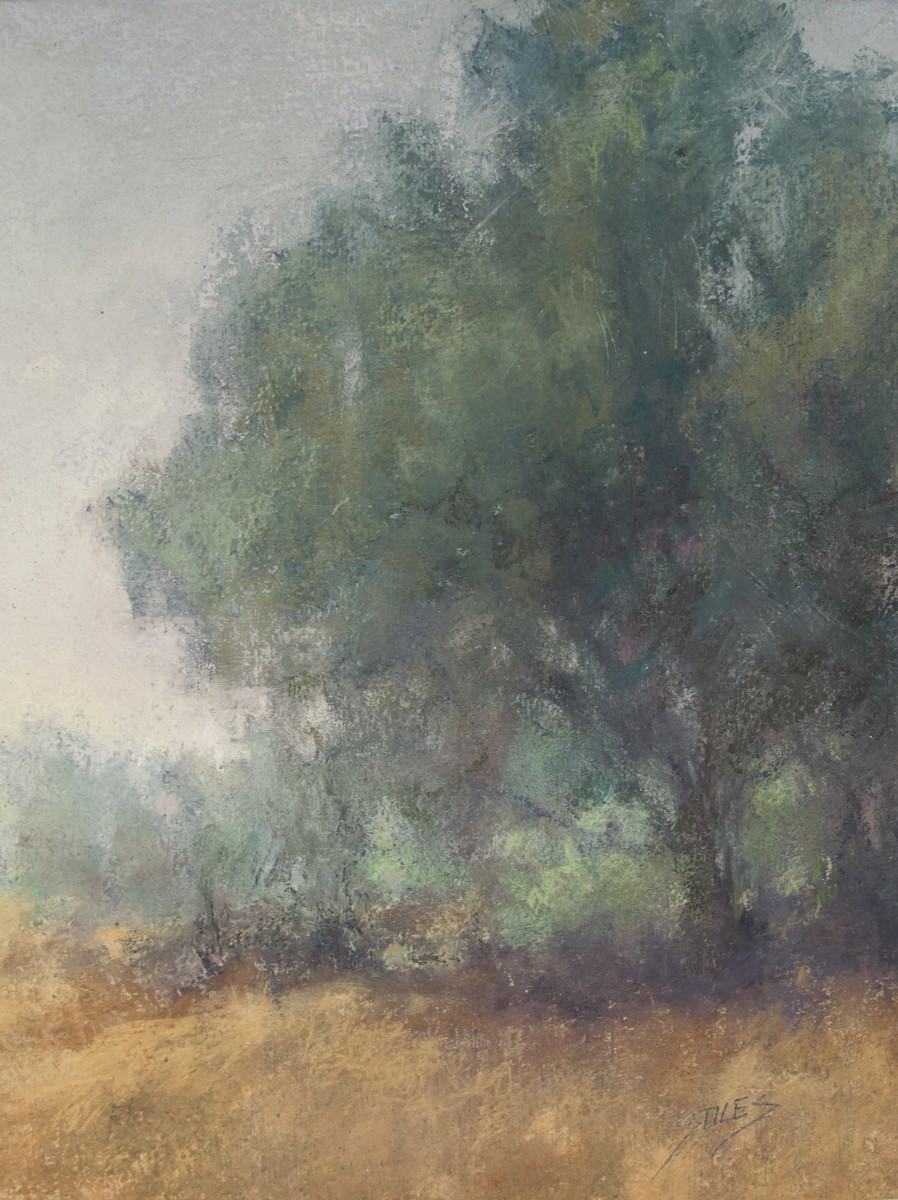 Soft Morning by Sabrina Stiles 