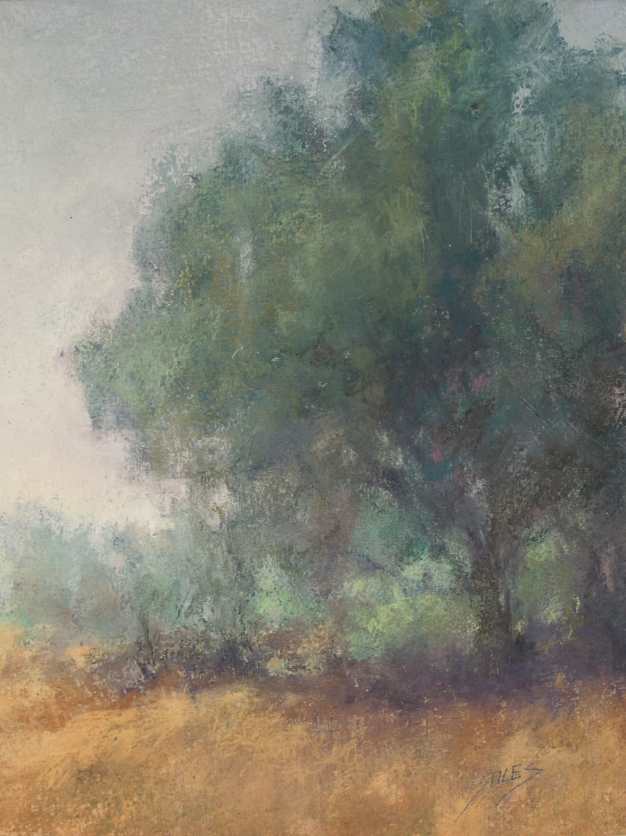 Soft Morning by Sabrina Stiles, Image 1.