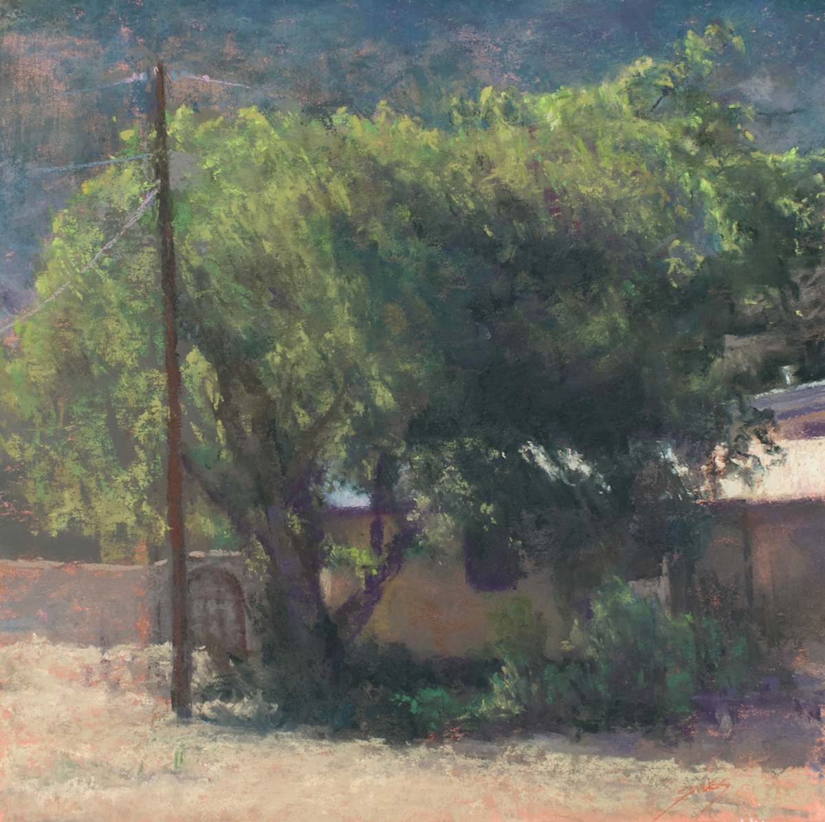 Sun Drenched by Sabrina Stiles, Image 1.