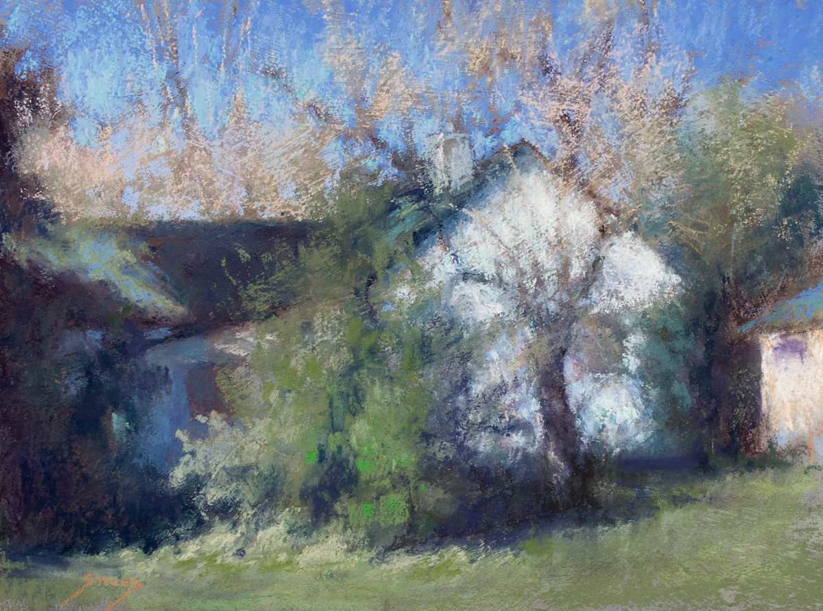 A Domenico Morning by Sabrina Stiles, Image 1.