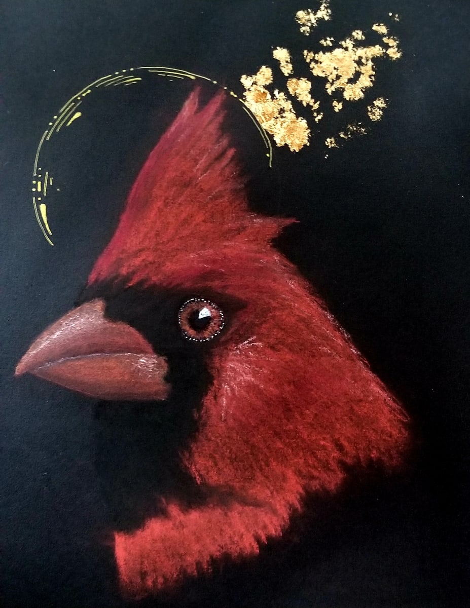 Cardinal by Patti McDonald 