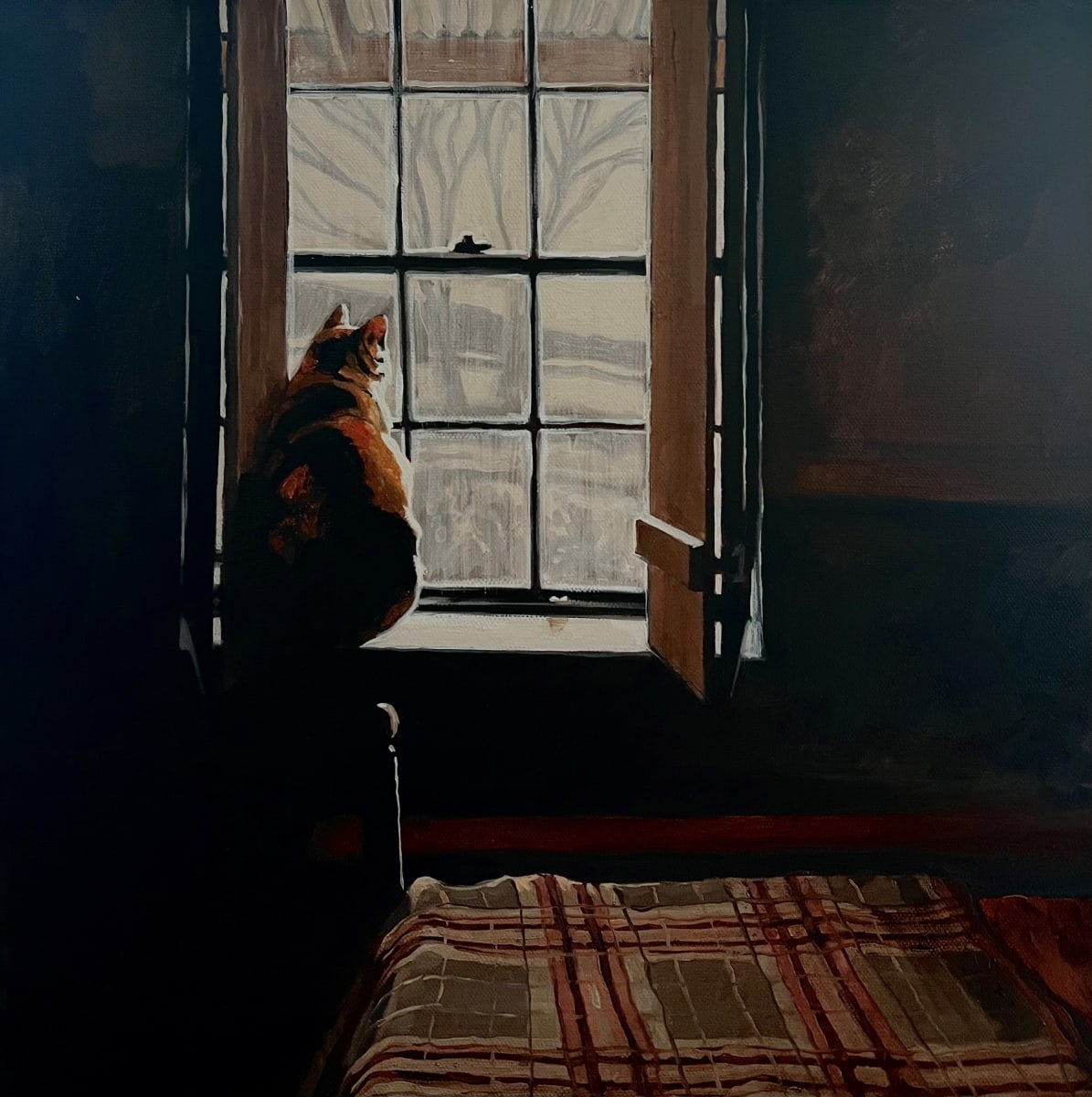 Inside Out by Kim Harding  Image: "Inside Out" 40 x 40cm Oil on Canvas FRAMED