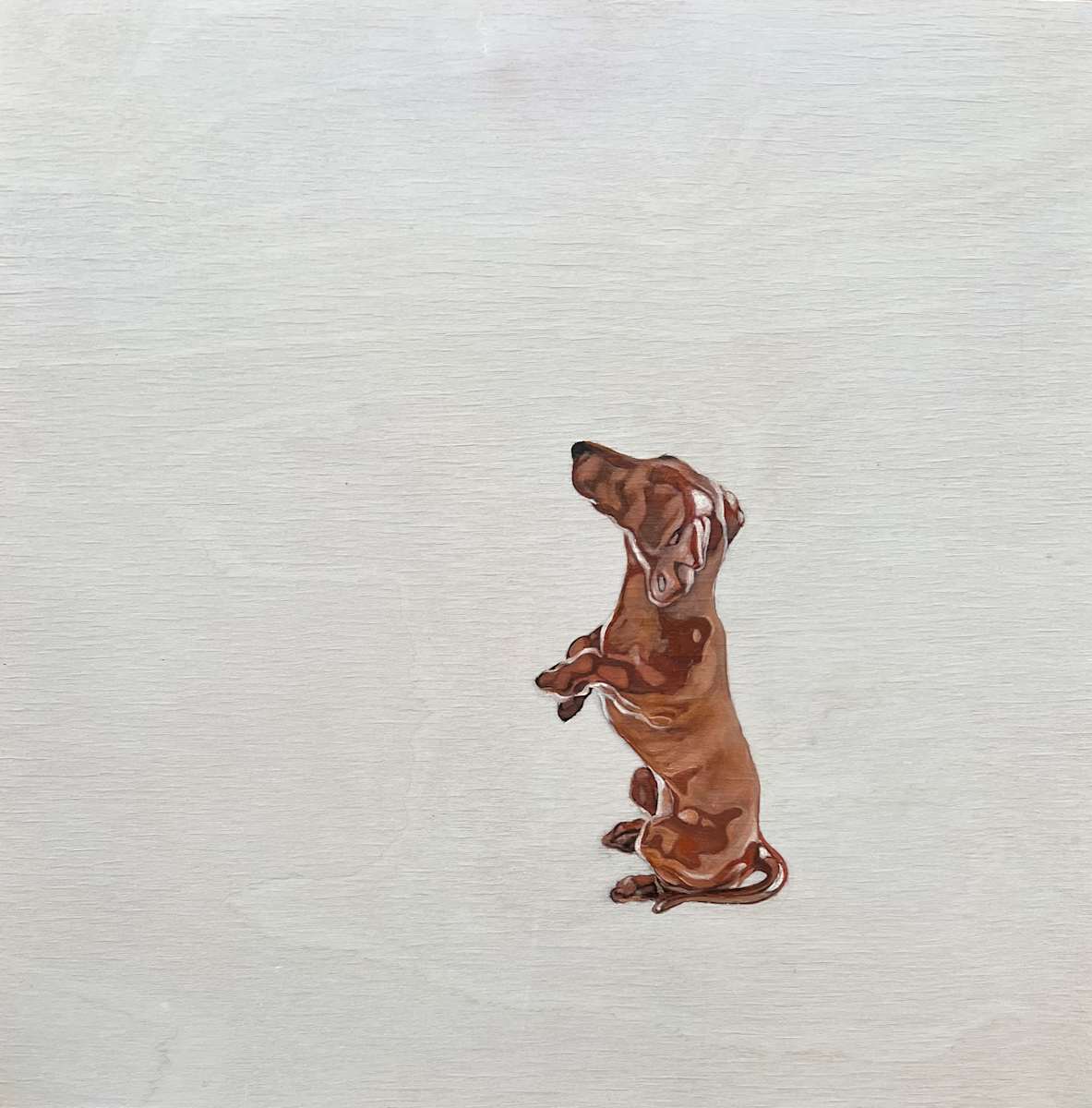 Dachshund Figurine by Kim Harding  Image: "Dachshund Figurine" 30 x 30 oil on board