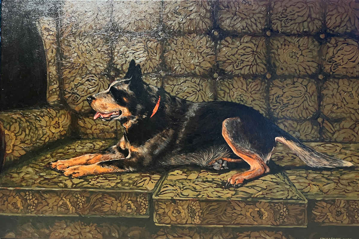 Freddy by Kim Harding 